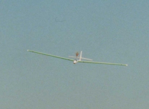 gronegiannigaetti.jpg (30058 byte)